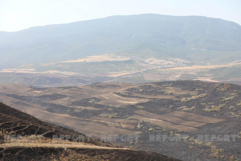 Şabranın bəzi kəndlərində yanğınlar söndürülüb - FOTO