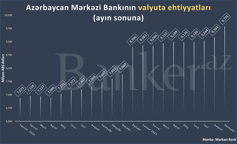 Mərkəzi Bankın valyuta ehiyatları .8 milyarda çatdı