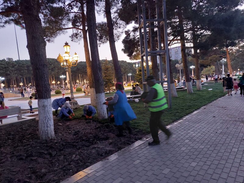 Abşeron rayonunda yeni yaşıllıq sahələri salınır - FOTOLAR