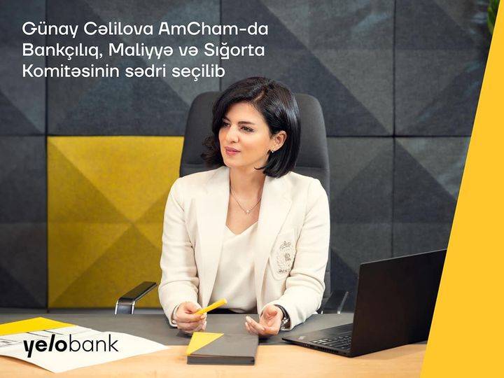 Yelo Bank-ın İdarə Heyətinin üzvü Amerika Ticarət Palatasının komitə sədri seçilib