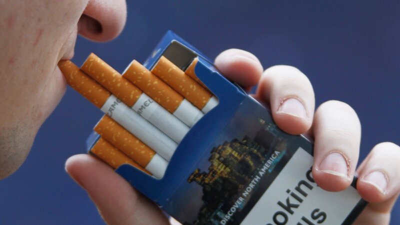 Siqaret istehsalı artıb