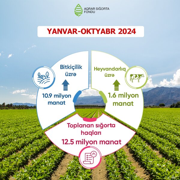 Meyvə bağları və əkin sahələri üzrə - AQRAR SIĞORTA ÖDƏNIŞLƏRI 4 DƏFƏ ARTIB