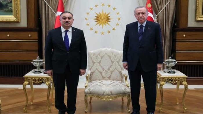Rəşad Məmmədov Türkiyə Prezidenti ilə görüşdü