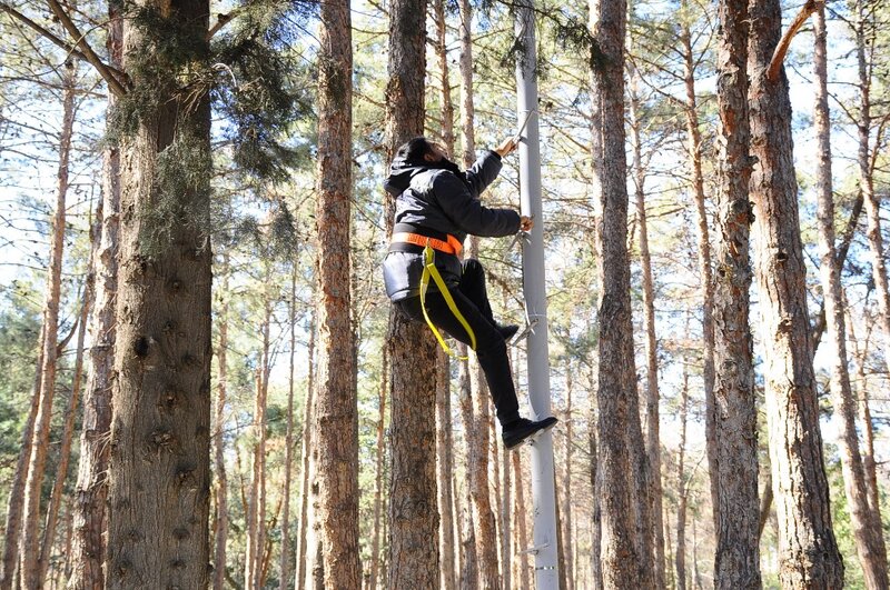 Naftalan parklarında sosial layihə - FOTOLAR