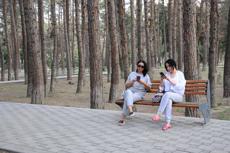 Naftalan parklarında sosial layihə - FOTOLAR