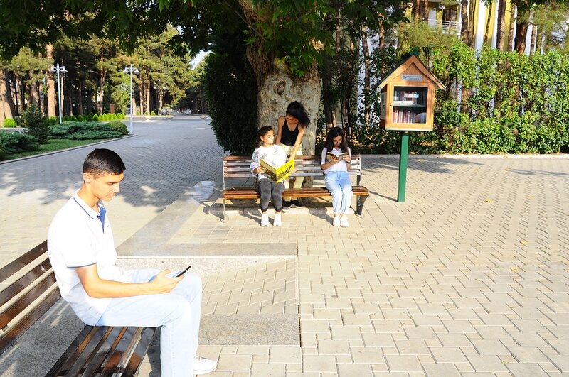 Naftalan parklarında sosial layihə - FOTOLAR