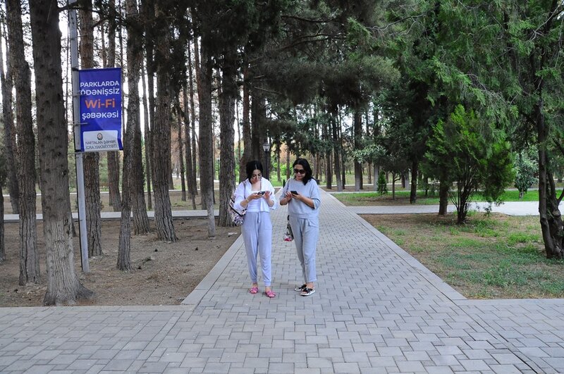 Naftalan parklarında sosial layihə - FOTOLAR