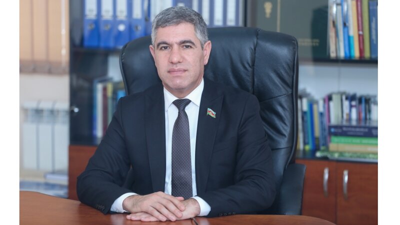 Manatın son günlərdəki durumu nəyə səbəb olacaq? - TƏHLİL