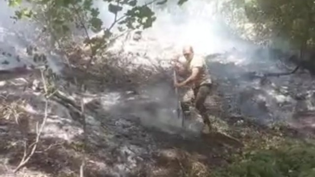 Oğuzda meşədəki yanğın söndürüldü - VİDEO