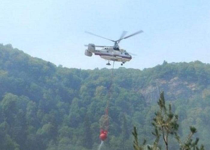 Qəbələdə meşəlik ərazidə yanğın BAŞLADI