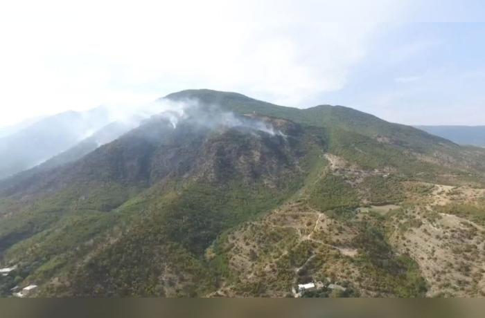 Qazaxla sərhəddə Ermənistanda meşə yanır - VİDEO