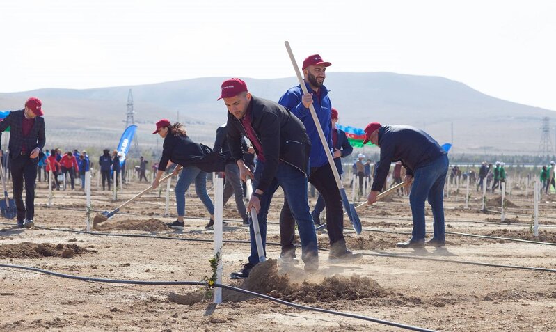 Kapital Bank əməkdaşları ağacəkmə aksiyasında iştirak etdi