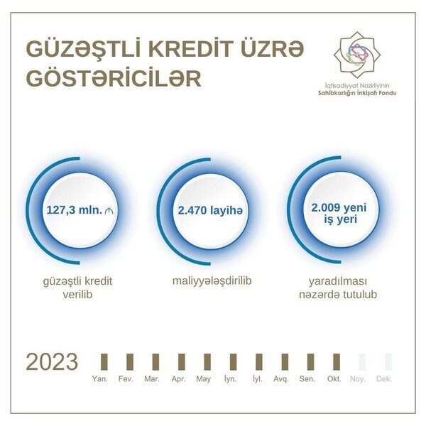 10 ayda sahibkarlara 127,3 milyon manat güzəştli kredit verilib