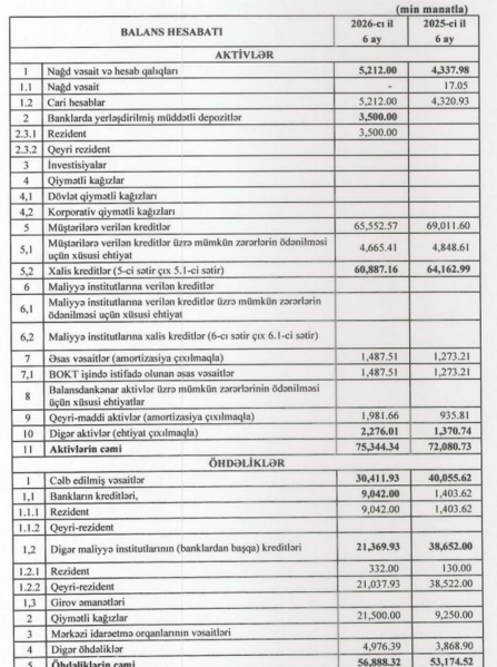 Kredit portfeli 3,5 milyon manat kiçilib, investorlara borcu 2,3 dəfə artıb –