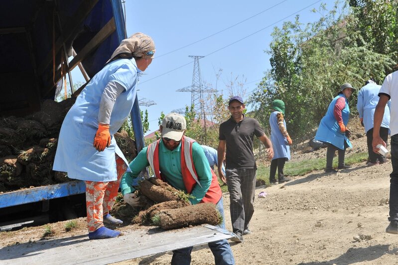 Abşeron rayonunda yeni yaşıllıq sahələri salınır - FOTOLAR