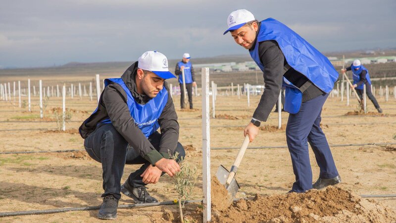 TuranBank ağacəkmə aksiyası təşkil edib