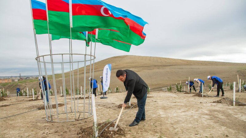 TuranBank ağacəkmə aksiyası təşkil edib