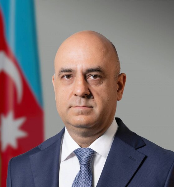 Mərkəzi Banka yeni baş direktor təyin edilib