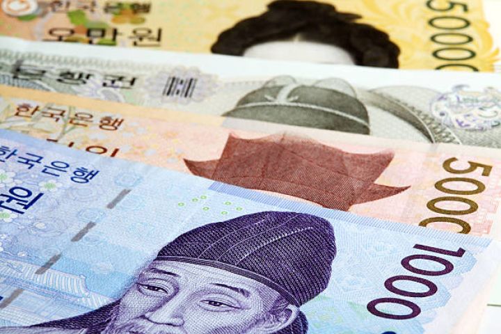 Cənubi Koreya vonu hərbi vəziyyət xəbərilə Dollar qarşısında kəskin ucuzlaşdı