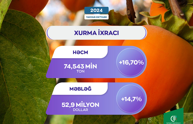 Azərbaycandan xarici bazarlara xurma ixracı 167% artıb