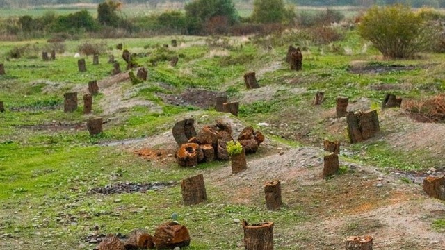 Ermənilər Azərbaycana 16 milyard manatdan çox ekoloji ziyan vurub