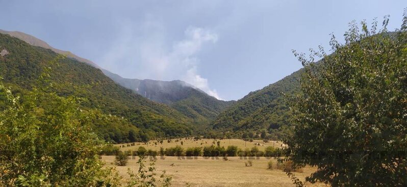 Oğuzda meşə yanır