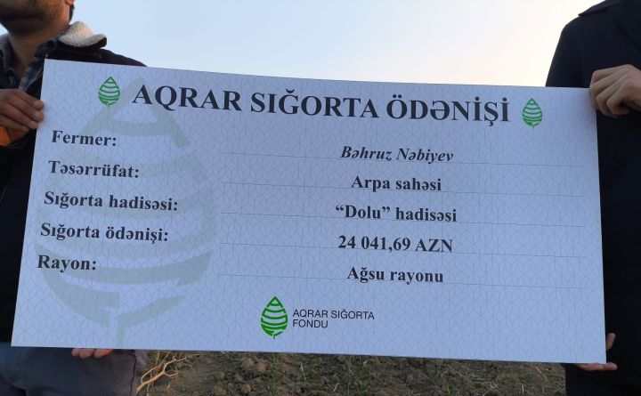 Dolu arpa sahəsinə zərər vurdu, 24 min manat sığorta ödənişi aldı