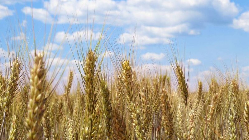 İstanbulda ortaq koordinasiya mərkəzi yaradılıb