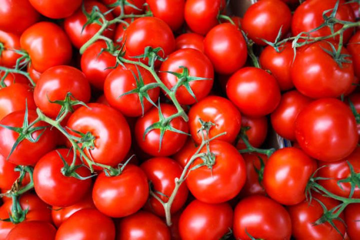 Azərbaycandan pomidor ixracı azalıb