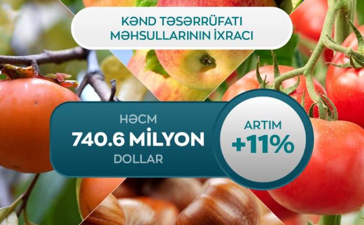 Azərbaycandan kənd təsərrüfatı məhsullarının ixracında 11% artım qeydə alınıb