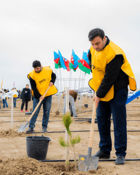 Yelo Bank-dan 1 milyon ağac hədəfinə parlaq dəstək