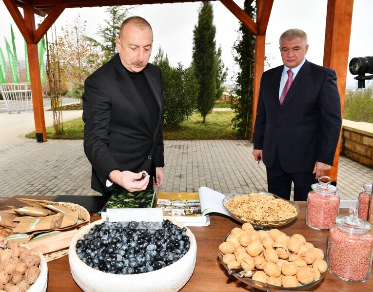 İlham Əliyev 