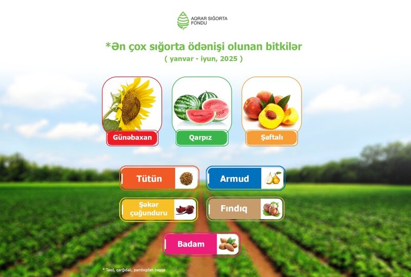 Zərər ödənişinin həcmi kəskin artıb