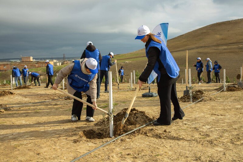 TuranBank ağacəkmə aksiyası təşkil edib