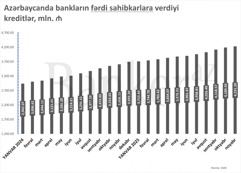 Azərbaycanda fərdi sahibkarlara verilən kreditlərin həcmi ₼4.23 mln. manata yüksəlib