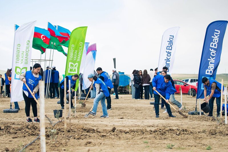 Bank of Baku-dan 1 milyon ağac hədəfinə dəstək