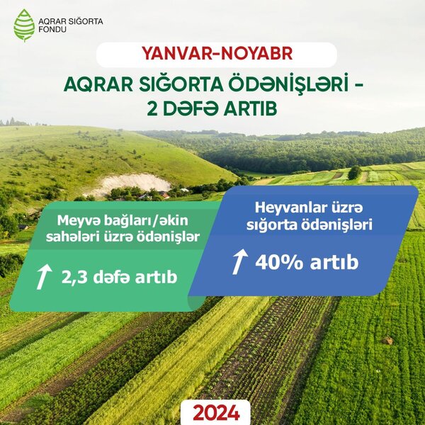 Aqrar Sığorta Fondunun fermerlər və təsərrüfatlara - SIĞORTA ÖDƏNİŞLƏRİ 2 DƏFƏ ARTIB