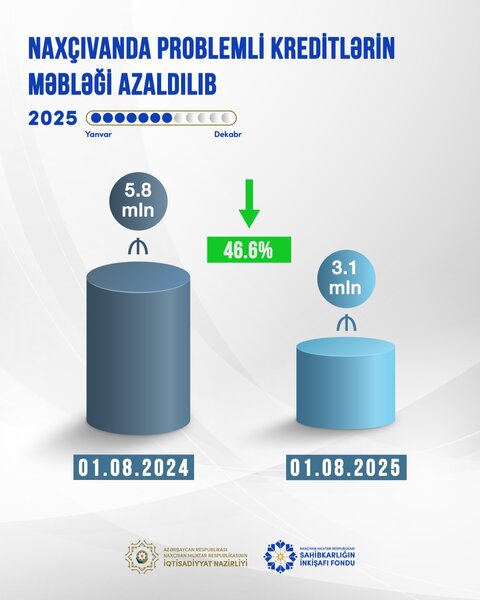 Naxçıvanda problemli kreditlərin məbləği azaldılıb
