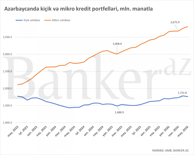 Azərbaycanda mikro kreditlərin həcmi 4 mlrd. manata çatır