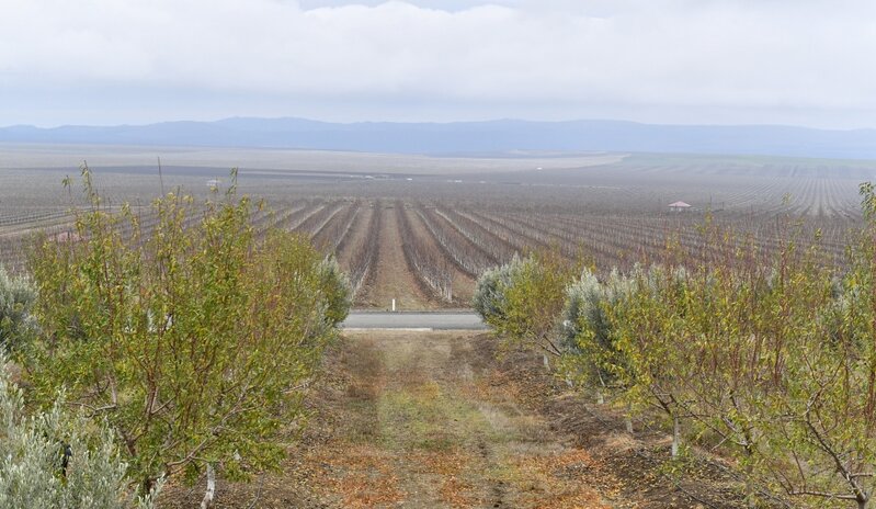 İlham Əliyev 
