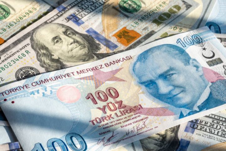 Dollar/Türk Lirəsində yeni rekord