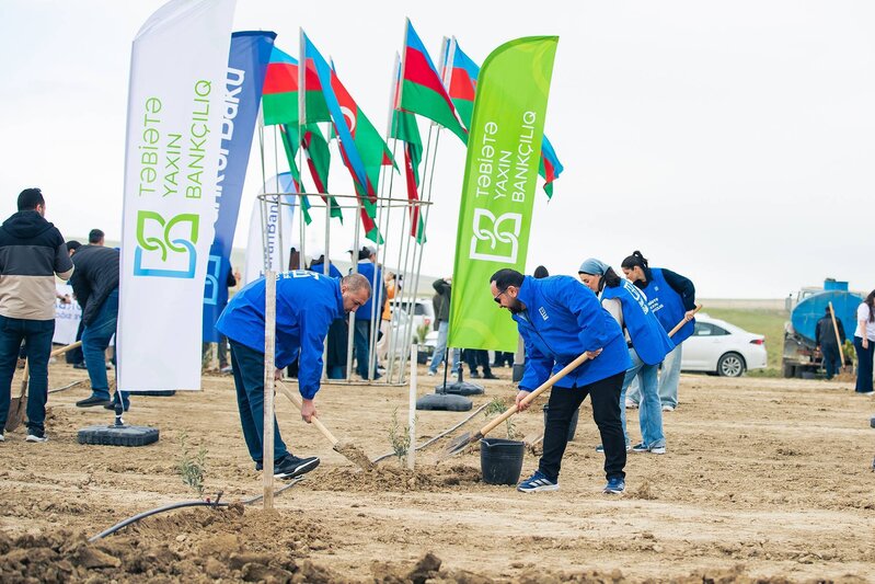 Bank of Baku-dan 1 milyon ağac hədəfinə dəstək