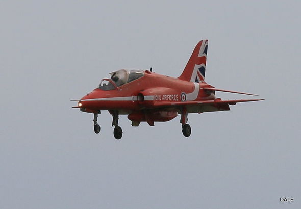 Britaniyada aviaşouda insident: Quşlar təyyarələrə qarşı - FOTO
