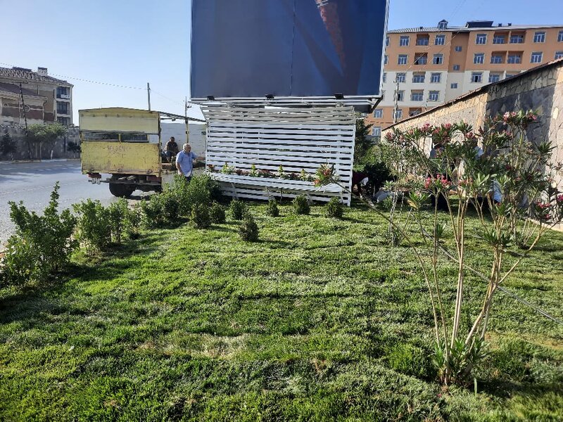 Abşeronda yaşıllaşdırma işləri davam edir - FOTOLAR