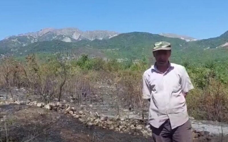 İsmayıllıda qəsdən yanğın törədən şəxs saxlanıldı - VİDEO