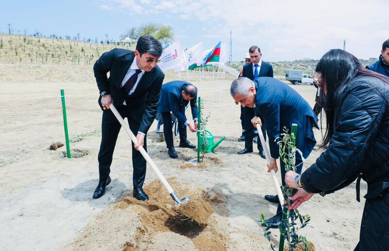 YAP-ın Sabunçu təşkilatı və 