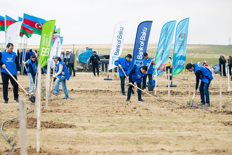 Bank of Baku-dan 1 milyon ağac hədəfinə dəstək