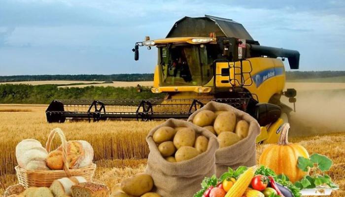 Aqrar sektor 3 %-dən çox böyüyüb