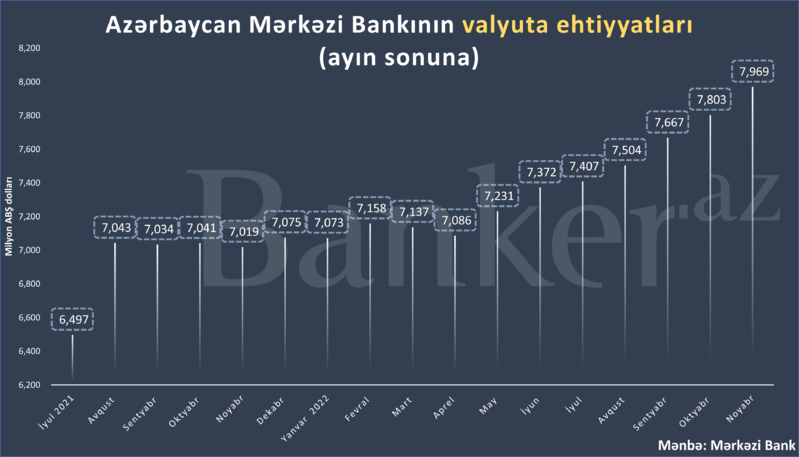 Mərkəzi Bankın valyuta ehtiyatları mlrd.-a yüksəldi