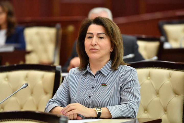 Deputat: Məktəblərdə direktor müavinləri öz işlərini layiqincə yerinə yetirə bilmirlər